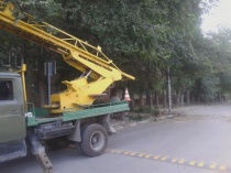 В Октябрьском районе оперативно проведены работы по устранению упавшего дерева