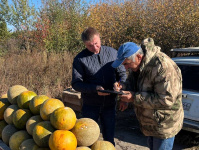 В Заводском районе проведен рейд по выявлению фактов незаконной уличной торговли