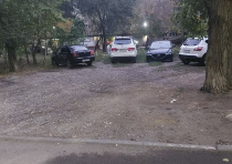 За парковку на «зеленой зоне» возбуждены административные дела