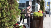 В городе продолжается высадка цветов и зеленых насаждений В городе продолжается высадка цветов и зеленых насаждений