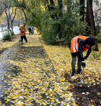 Продолжаются мероприятия по благоустройству города Продолжаются мероприятия по благоустройству города
