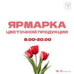 Организована работа краткосрочных ярмарок по продаже цветочной продукции