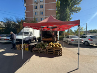 За незаконную уличную торговлю составлены протоколы об административных правонарушениях