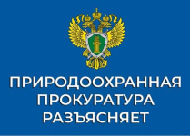 Саратовская межрайонная природоохранная прокуратура разъясняет изменения, внесенные в земельное законодательство