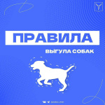 Правила обращения с домашними животными Правила обращения с домашними животными