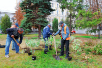 В саду Радищева выполняются работы по высадке растений
