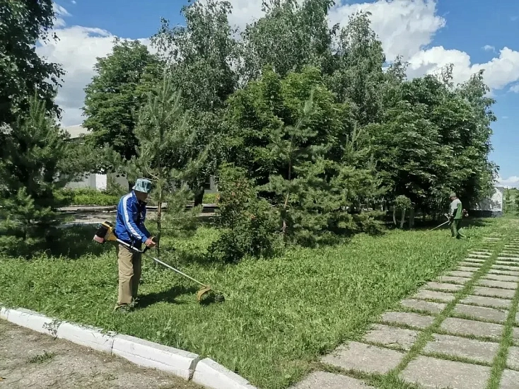 Продолжаются работы по благоустройству