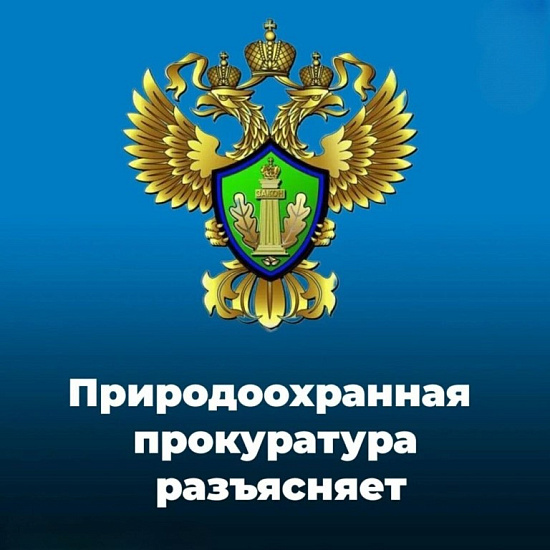 Саратовская межрайонная природоохранная прокуратура разъясняет