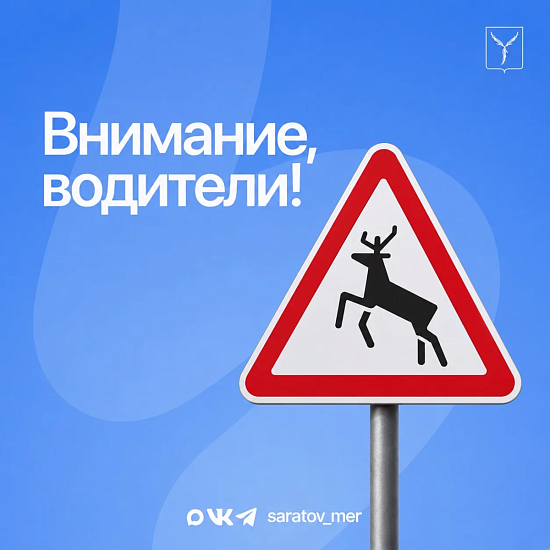 Будьте внимательны за рулем❗️