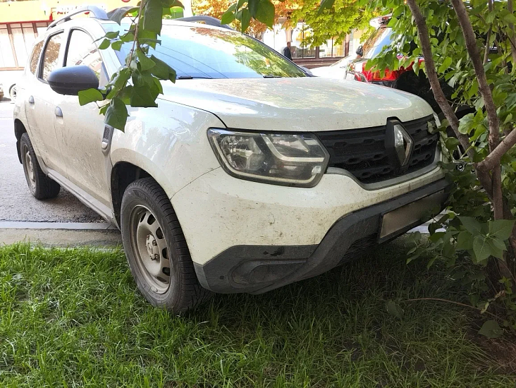 Выявлены факты размещения автомобилей на газонах