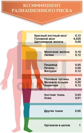 Коэффициент радиационного риска