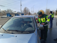 Автоинспекторы приняли участие во Всероссийской 
акции «Цветы для автоледи»