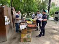 Сотрудниками комитета муниципального 
контроля составлено более 10 протоколов за незаконную торговлю