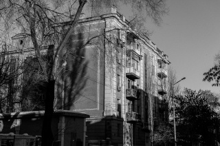 Фото Романа Викторсона