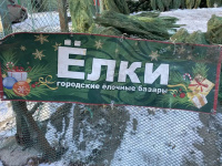 Началась работа базаров по продаже хвойных деревьев Началась работа базаров по продаже хвойных деревьев