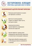 О профилактике инфекций, передающихся при укусе клещей