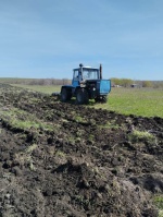 На территории Гагаринского административного 
района продолжаются весенне-полевые работы