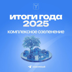 С 2023 года по решению губернатора в Саратове ведется масштабное озеленение С 2023 года по решению губернатора в Саратове ведется масштабное озеленение