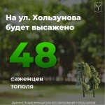 На ул. Хользунова высадят 48 саженцев тополя