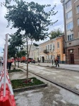 Защита зеленых насаждений во время благоустройства территорий на контроле