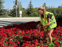 В Саратове продолжается трудоустройство несовершеннолетних от 14 до 18 лет в свободное от учебы время