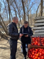 Сотрудники комитета муниципального контроля 
обследовали территорию города на предмет соблюдения Правил благоустройства и выявления нарушений в сфере торговли