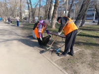 Мероприятия по благоустройству сквера 50 лет Октября