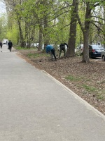 Продолжаются работы по уборке дворовых 
территорий, расположенных в Кировском районе