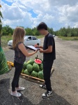 На территории Октябрьского района продолжаются мероприятия по пресечению фактов незаконной уличной торговли