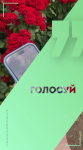 Жители Саратова принимают участие во Всероссийском голосовании за выбор территорий для благоустройства
