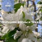Глава города Саратова Михаил Исаев обратился к жителям с поздравлениями
