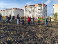 В парке «Соловьиная Роща» высажено 550 деревьев и кустарников В парке «Соловьиная Роща» высажено 550 деревьев и кустарников