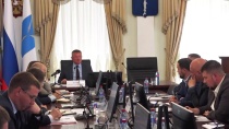 Михаил Исаев: « В Саратове необходимо кратно наращивать объемы высадки цветов и кустарников»