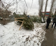 По фактам нарушений на местах продажи хвойных деревьев возбуждены административные дела