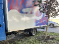 Зафиксированы факты парковки на зеленых зонах Зафиксированы факты парковки на зеленых зонах
