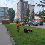 Продолжаются мероприятия по благоустройству города
