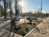 На территории областного центра продолжается 
высадка зеленых насаждений