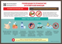 О мерах профилактики энтеровирусной инфекции 