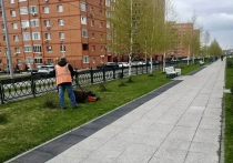 Работы по благоустройству продолжаются