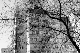 Фото Романа Викторсона