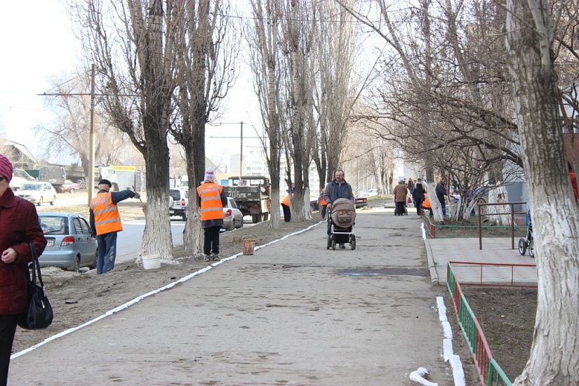 В Заводском районе начались работы по побелке 
деревьев