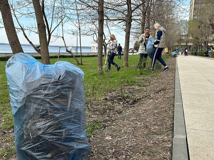 В рамках объявленного губернатором Саратовской 
области Романом Бусаргиным месячника по благоустройству состоялся общегородской субботник