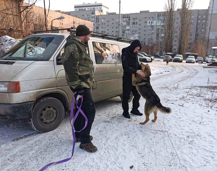 На территории Октябрьского района состоялся 
выезд с целью выявления безнадзорных животных