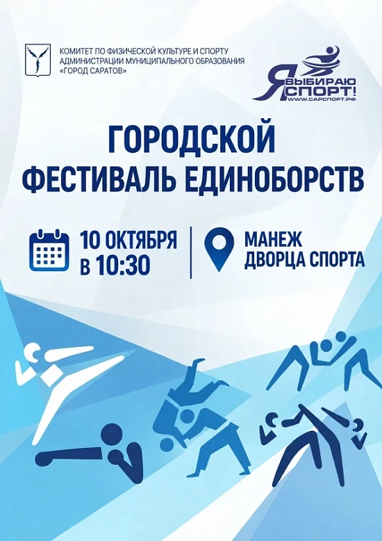 Фестиваль единоборств в Саратове