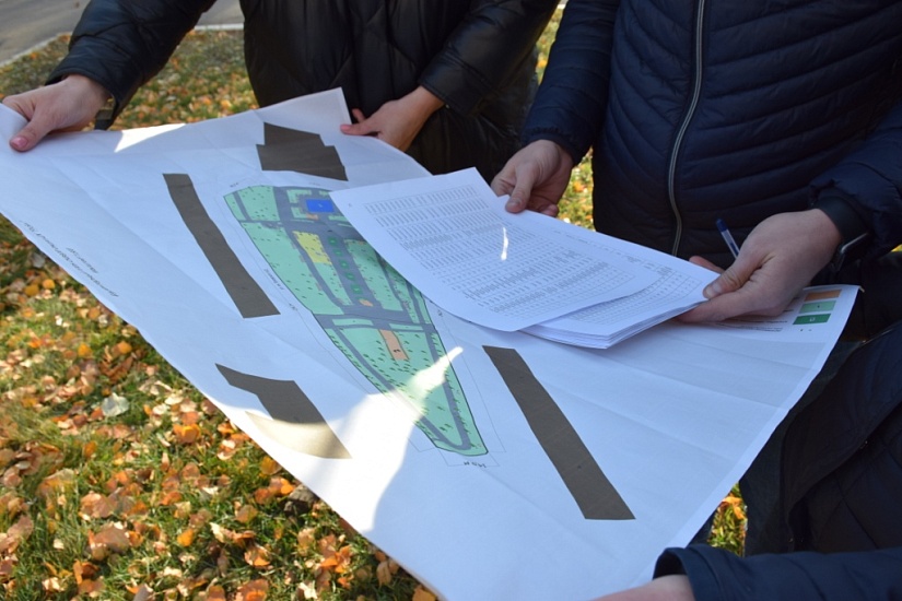 В Саратове обследованы и поставлены на 
учет более 3 тысяч зеленых насаждений
