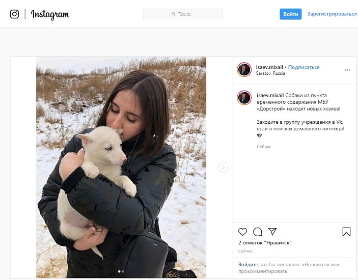 Питомцы из пункта временного содержания 
«Дорстроя» находят новых хозяев