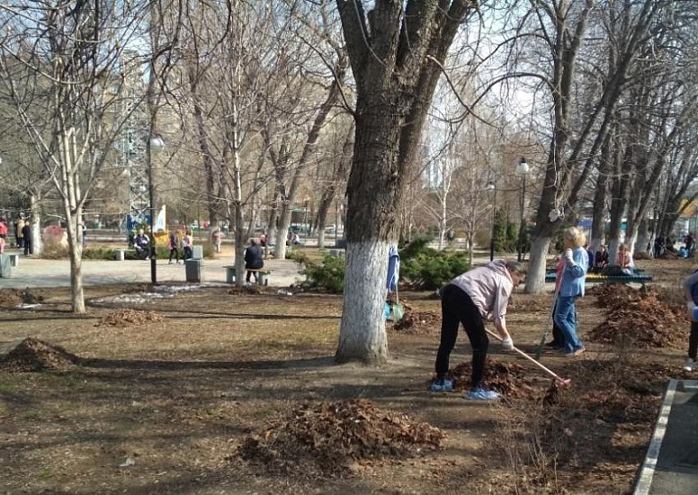 В центре города прошла уборка «Аллеи роз»