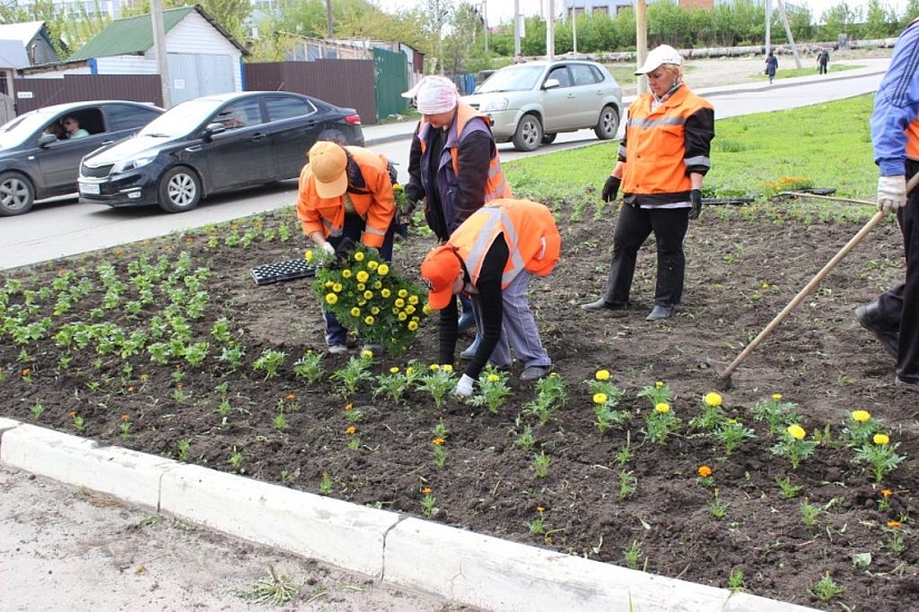 В Заводском районе высажено около 75 тысяч 
цветов