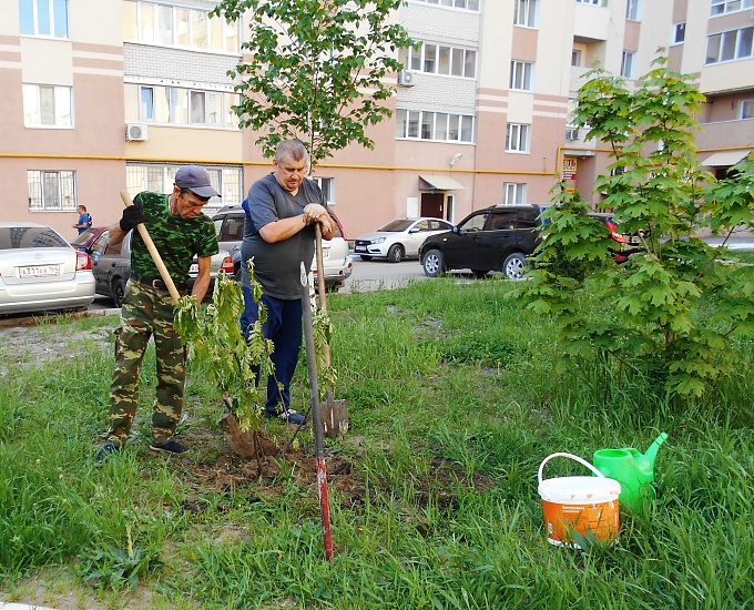 Работы по благоустройству Заводского района 
идут полным ходом