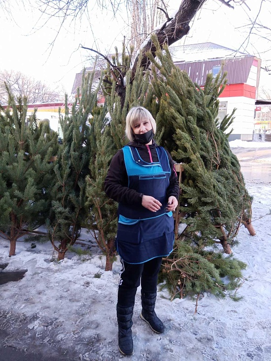 На территории Октябрьского района прошли 
мероприятия по выявлению несанкционированных елочных базаров